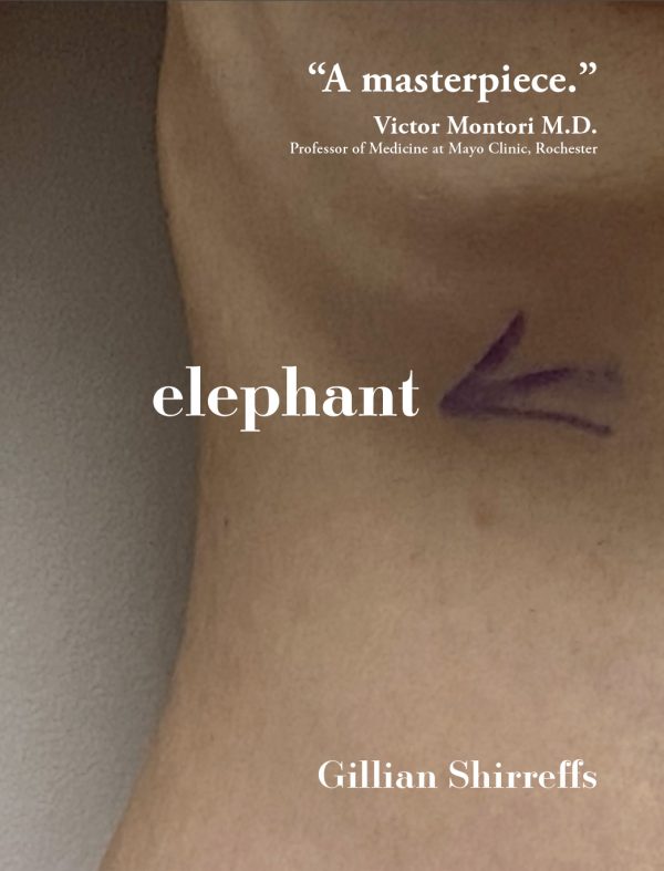 Elephant - Gillian Shirreffs (Pre-Order)